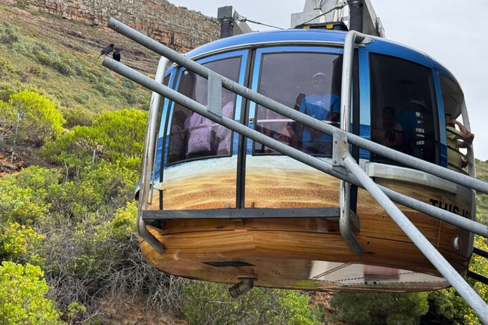 Private: Table Mountain Tour with Round Trip Transfers