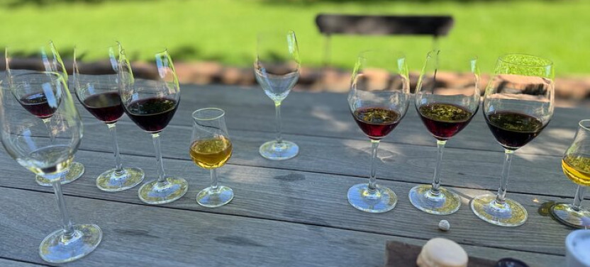 Private Winelands and Stellenbosch Franschhoek Wine Tasting Tour