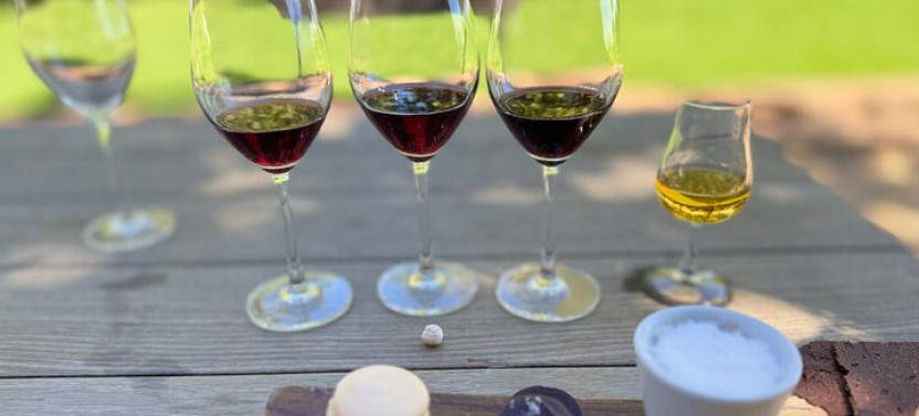 Private Winelands and Stellenbosch Franschhoek Wine Tasting Tour