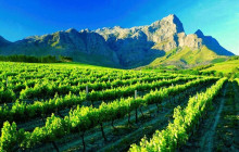 HYM Cape Tours PTY LTD5