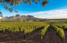 HYM Cape Tours PTY LTD9