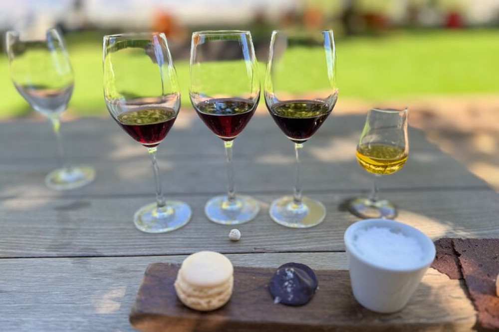 Full Day Tour to Wine Estates Stellenbosch, Franschhoek, and Paarl