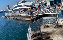 HYM Cape Tours PTY LTD2
