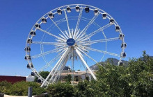 HYM Cape Tours PTY LTD38