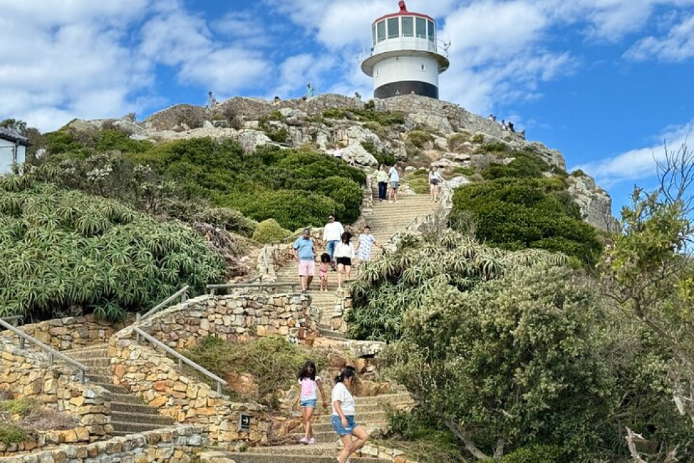 Private: Cape Peninsula Cape of Good Hope and Penguins Tour in Cape Town