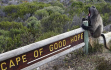 HYM Cape Tours PTY LTD10