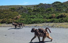 HYM Cape Tours PTY LTD13