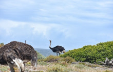 HYM Cape Tours PTY LTD14