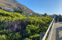 HYM Cape Tours PTY LTD31