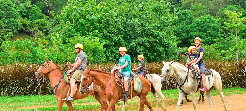 Shore Excursion: Horseback Riding + Zipline + Lunch From Caldera