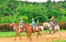 Vista Los Suenos Rainforest Tours2