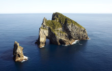 Island Getaway Tours2