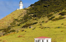 Island Getaway Tours3