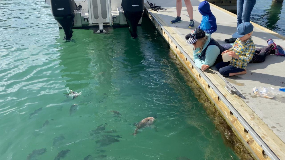Hole In The Rock Cruise & Island Stopover / 4.5 Hours