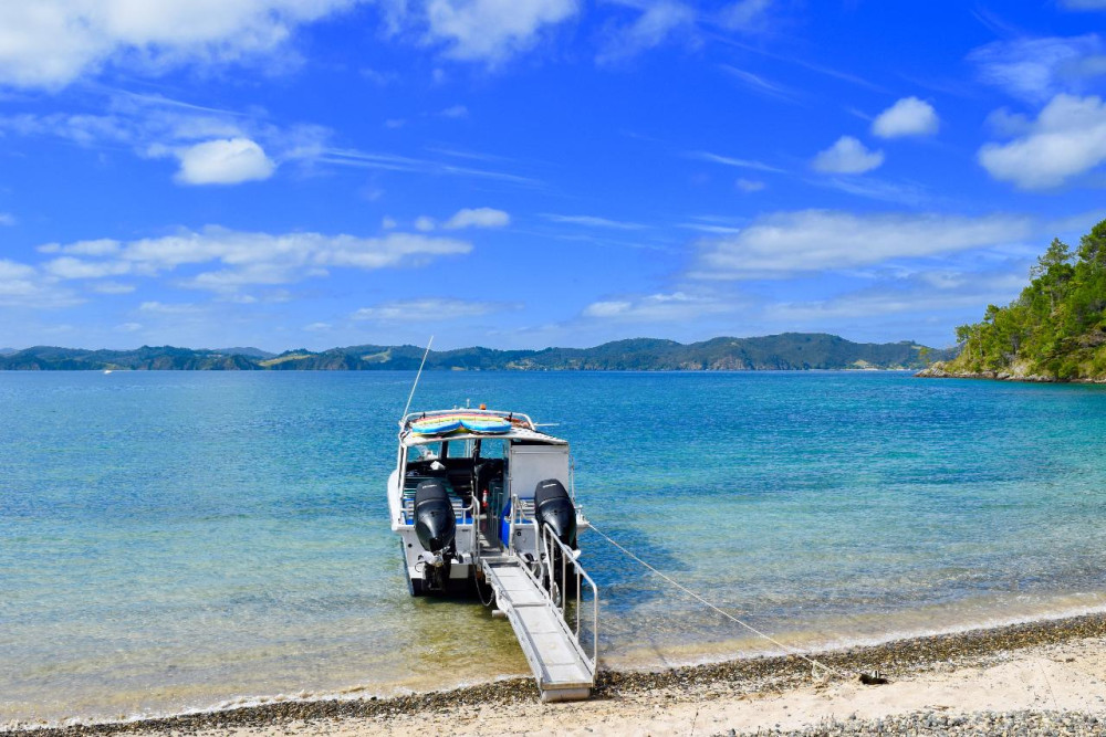 Bay of Islands Cruise & Island Tour / 3.5 Hours