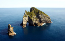 Island Getaway Tours5