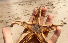 Island Getaway Tours14