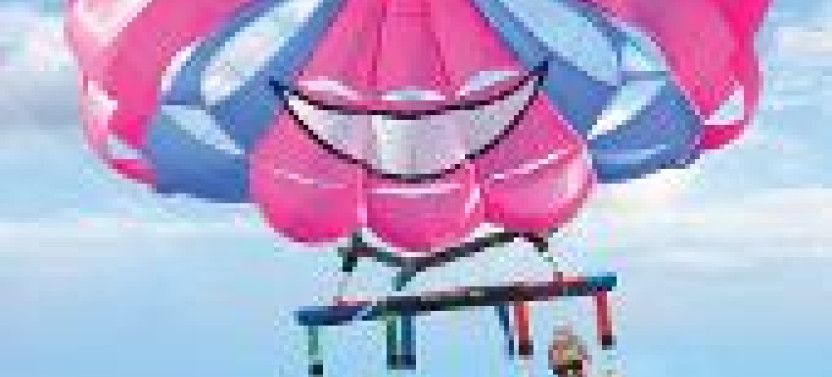 Small Group: Parasailing and 30 Minute Jet Ski Tour