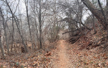 Wine Tours of Sedona4