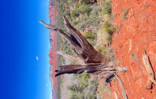 Wine Tours of Sedona8