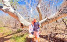 Wine Tours of Sedona9