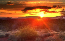 Wine Tours of Sedona1