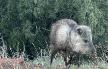 Wine Tours of Sedona11