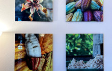 Wine Tours of Sedona16