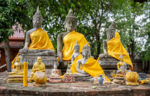 Discova Day Tours and Activities6