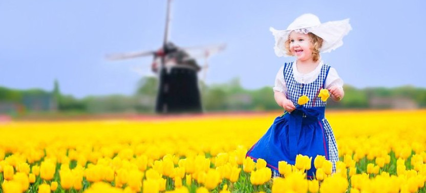 Delft and Keukenhof Gardens Tour from Brussels