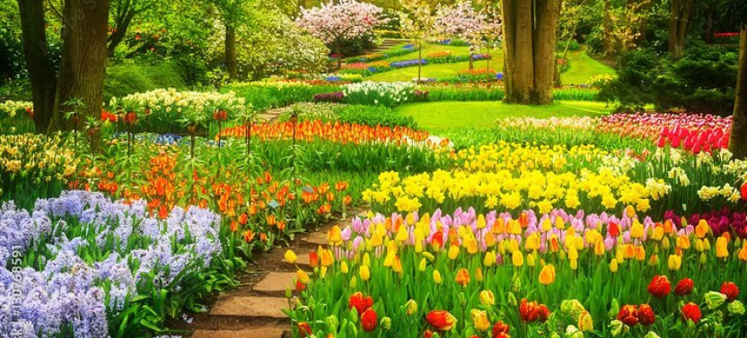 Delft and Keukenhof Gardens Tour from Brussels