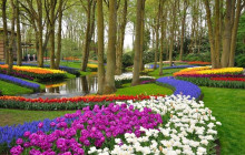 Brussels City Tours6