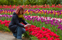 Brussels City Tours7