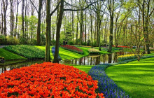 Brussels City Tours15