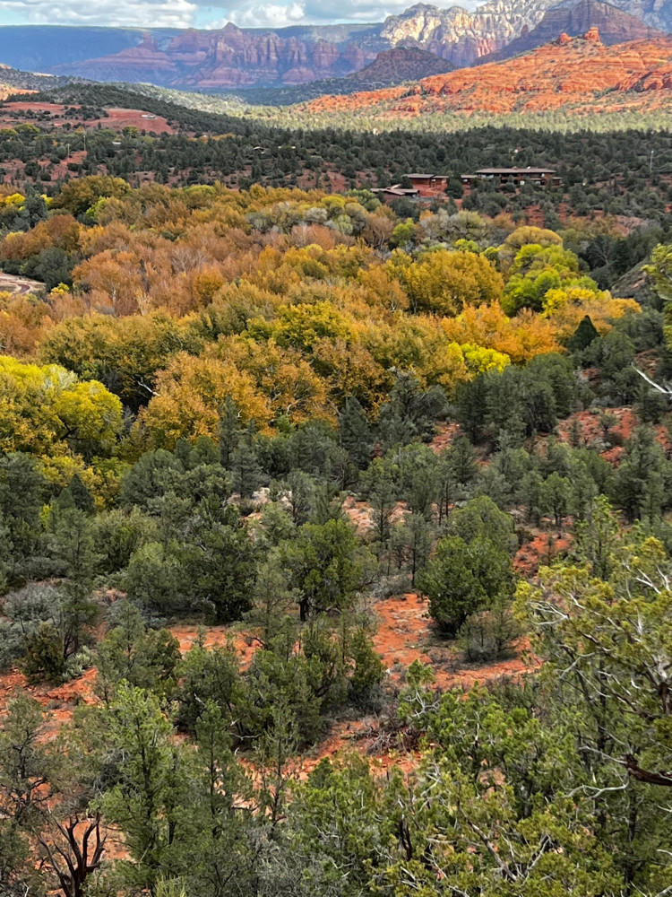 Sedona Hiking & Yoga Experience