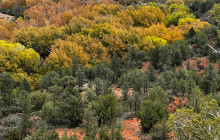 Wine Tours of Sedona12