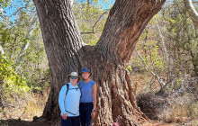 Wine Tours of Sedona7