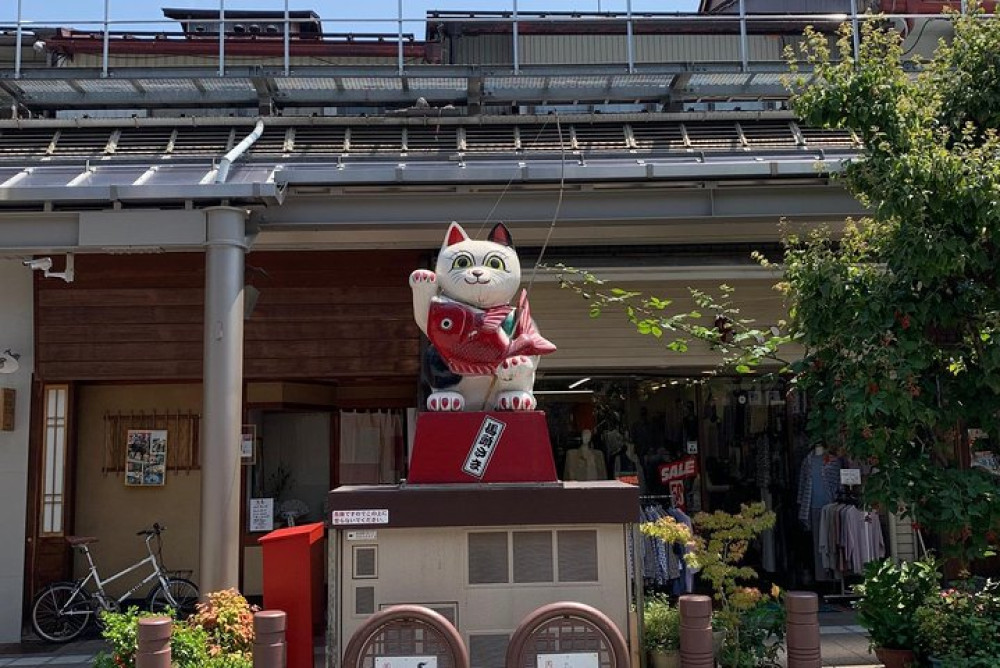 Takayama Old township Walking Tour With Local Guide (About 70min)