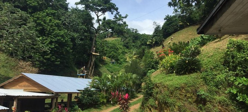 Hiking Adventure - Ziplines and Suspension Bridges