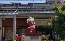 Happy Plus Coporation5