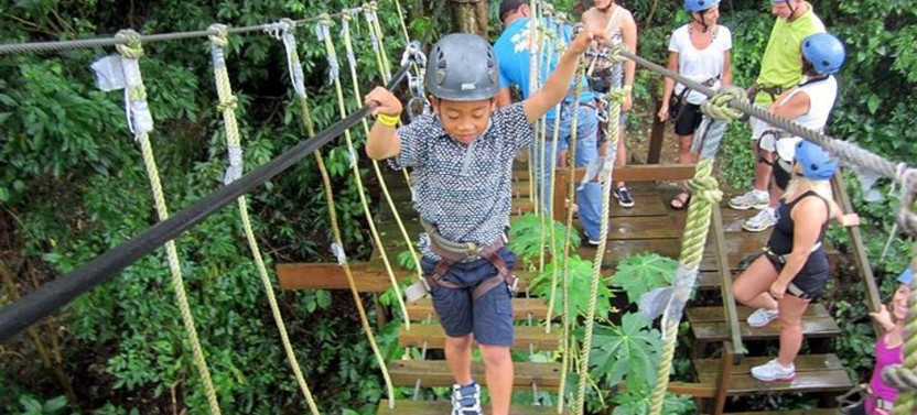 Half Day Adventure - Zipline Sloth Park and West Bay Beach Break