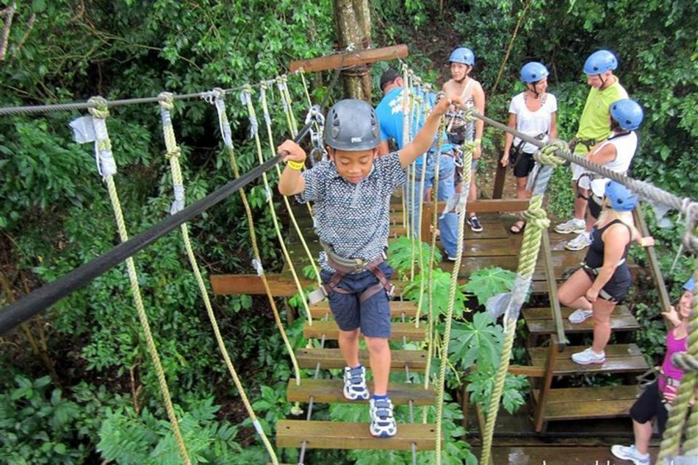 Half Day Adventure - Zipline Sloth Park and West Bay Beach Break