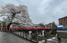 Happy Plus Coporation12