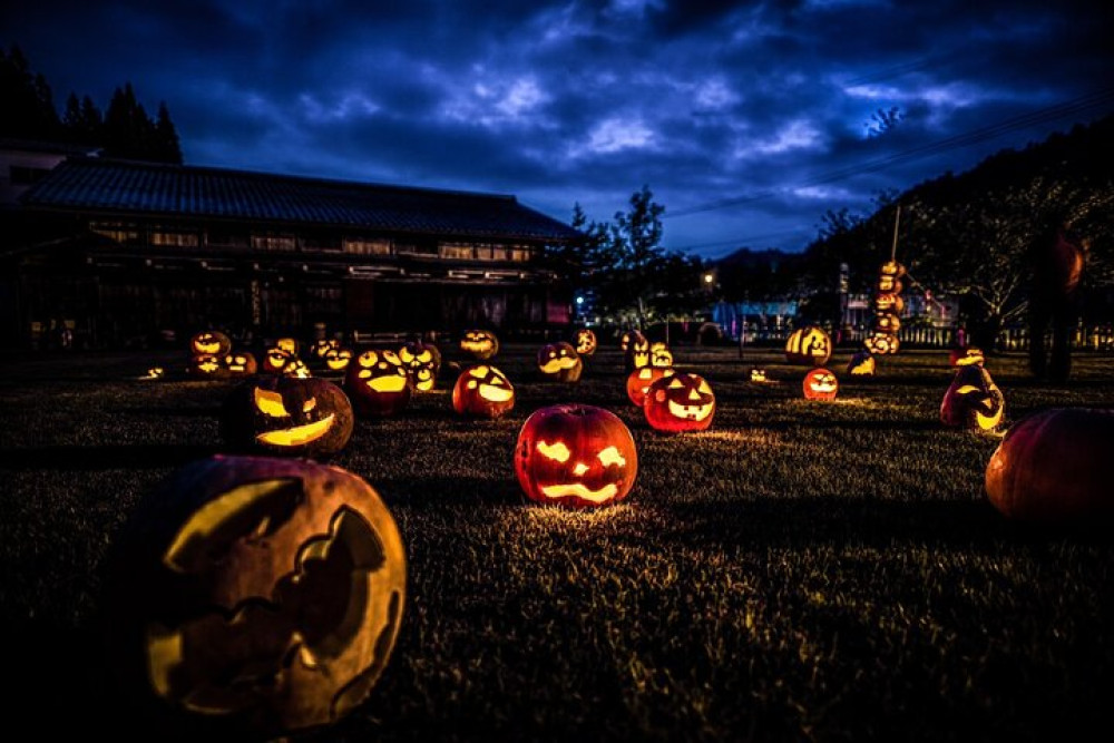 Happy Plus Coporation