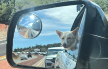 Wine Tours of Sedona3