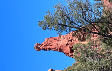 Wine Tours of Sedona14