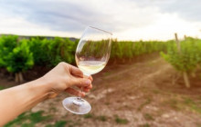 Wine Tours of Sedona16