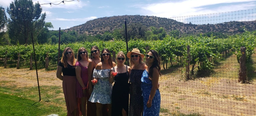 Views of the Vineyards
