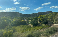 Wine Tours of Sedona15