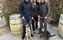 Wine Tours of Sedona21